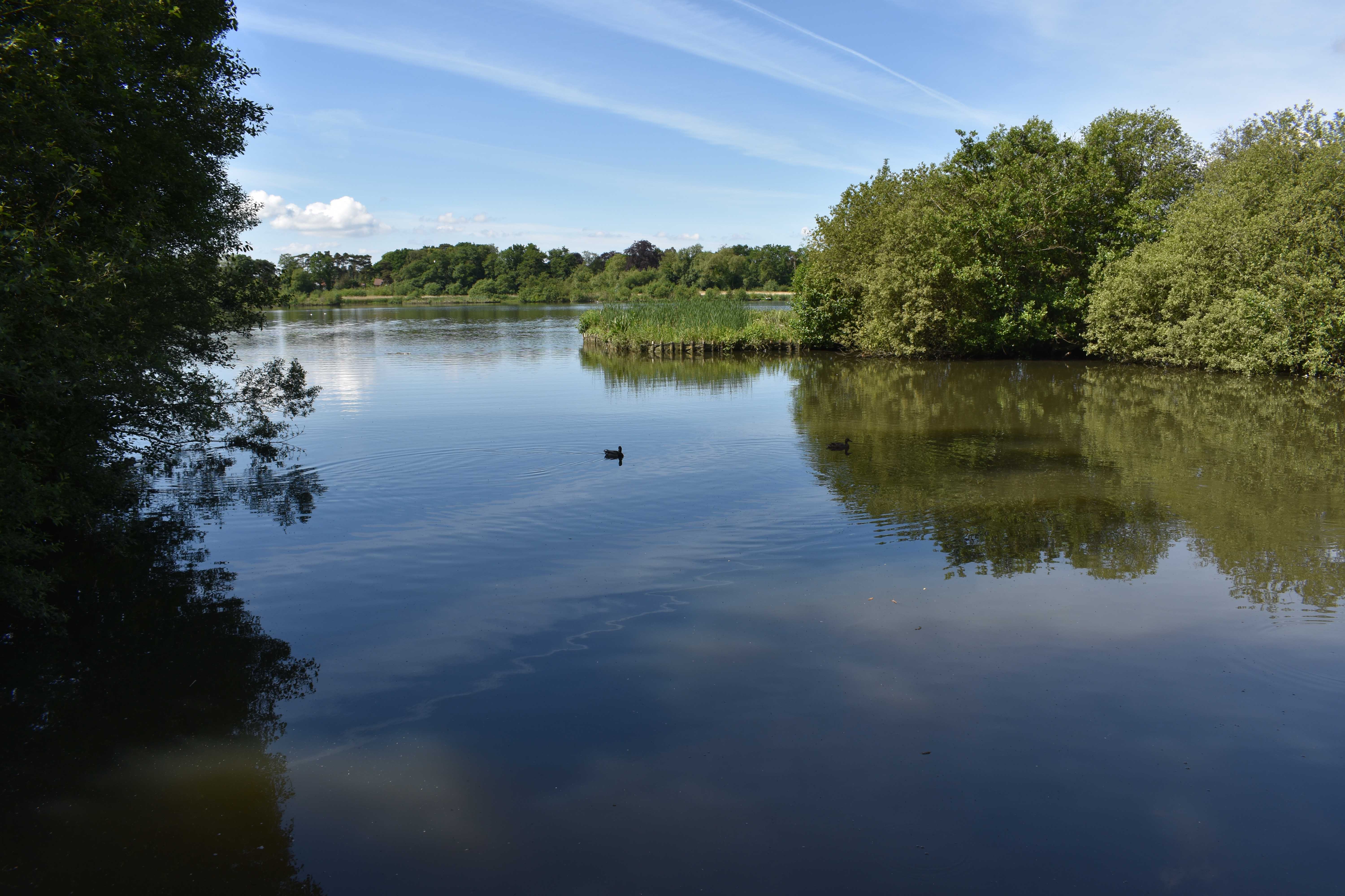Fleet Pond