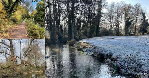 Frost Loddon