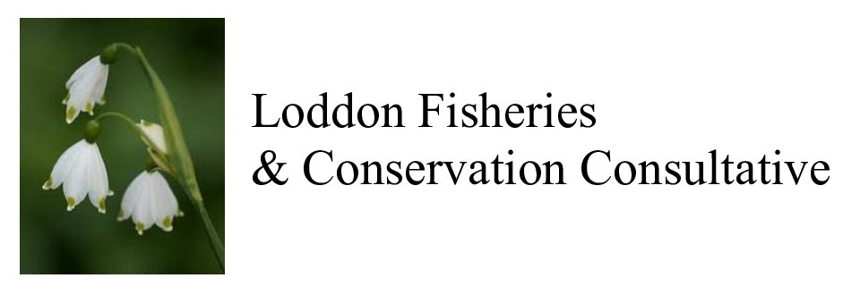 LFCC Logo1