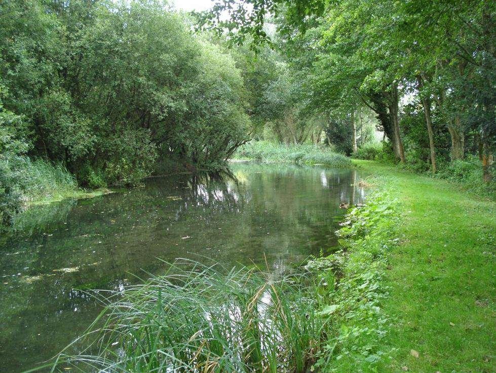 chalk stream
