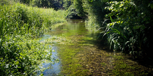 chalkstream