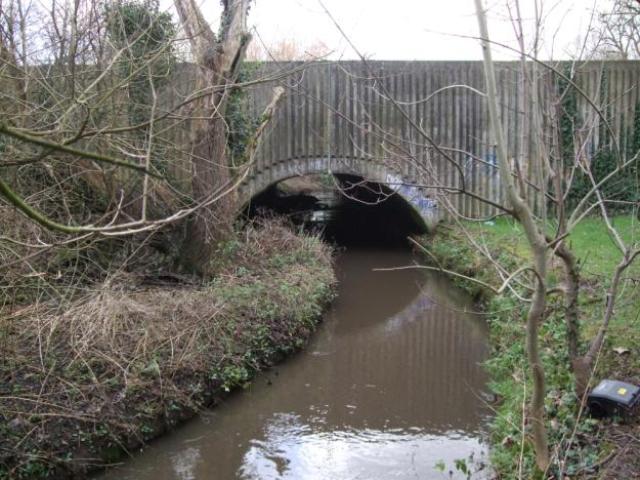 The Emm Brook has taken its own course here and refilled the over-widened channel near this bridge emmbrok walk 4 20120120 1540030390