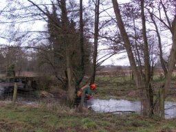 whitewater_2013_7_20130322_1840978939
